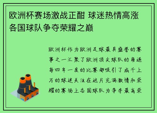 欧洲杯赛场激战正酣 球迷热情高涨 各国球队争夺荣耀之巅 欧洲杯赛场激战正酣 球迷热情高涨 各国球队争夺荣耀之巅